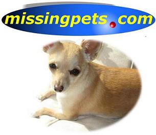 "Missing Pets Logo - Missing Pets Web Site - Your Guide to Lost and Found Dogs, Cats, and Other Pets"